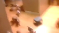 可愛追殺!11只狗寶寶讓男主人慘叫