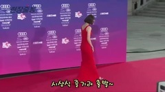 第一屆The Seoul Award頒獎禮林允兒紅毯新聞視頻cut合集6