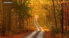 Lamar Starzz - The Autumn Leaves(秋葉)