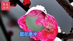 費玉清 - 一剪梅