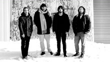 Walrus - Family Hangover