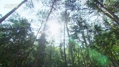 影視原聲 - 犀利仁師:四爺遭詩爺虐 為其拉牛車[超清版]
