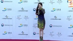 2017夢幻音樂會紅地毯