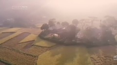喜送公糧(于紅梅二胡)
