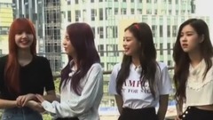 BLACKPINK - 最新綜藝來襲