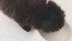 金泰妍的Zero更新第三則