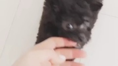 金泰妍的Zero第四則咬手指②