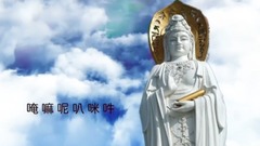 一指團體 - 真假中