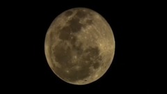 民樂群星,風景,音樂短片,輕音樂,樂動城市 - 海底世界 腦波睡眠背景樂