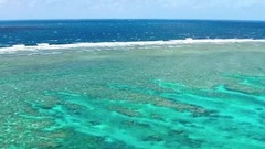 愛吃蛤蜊的豬齒魚 <Blue Planet II>