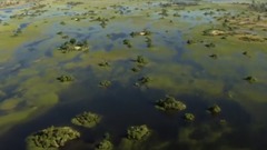 狒狒過河 一二一