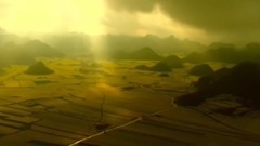 羅平油菜花海