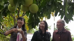 悠閑愉悅官莊村