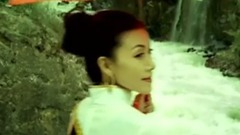 梅里愛的見證