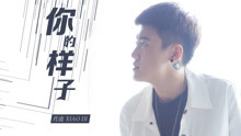 肖迪 - 你的樣子