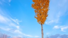 唯美草原風光 NeiMeng