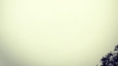 世勛更新INS視頻一則 初雪