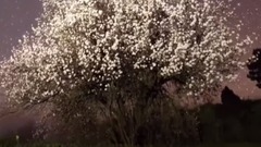 民樂群星,風景,音樂短片,輕音樂,樂動城市 - 拉帕爾瑪的魔幻天空