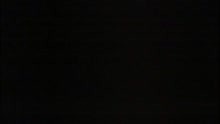 Torchlight