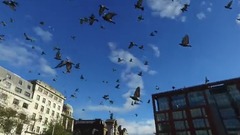民樂群星,風景,音樂短片,輕音樂,樂動城市 - One Day In Manchester 行走在曼徹斯特