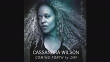 The Way You Look Tonight (Audio)