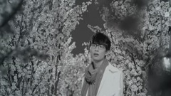 山水之間