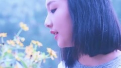 風來過