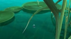 在水一方 趙一演唱