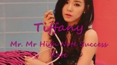 黃美英tiffany Mr Mr高音剪輯飯制版