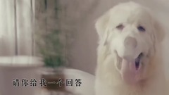 別讓愛情變成了笑話