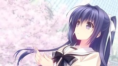 散りゆく桜に願いをこめて 游戲<月に寄りそう乙女の作法2.2 AxL+SA!!>OP