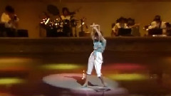 太陽のバカンス