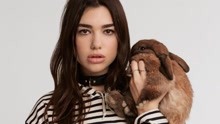 Dua Lipa - New Rules  歌詞版