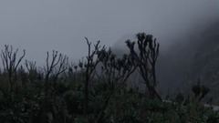 非洲艾伯丁裂谷.生命物語.第一集