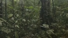 哥斯達黎加 生命物語 第五集