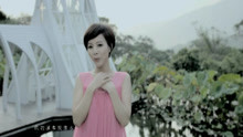  - 雙雙飛-謝莉婷/黃宗瑋mv