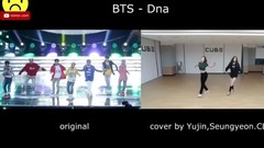 DNA 版本對比
