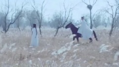 <將軍在上之時空戀人>葉昭承諾,下輩子變成男人來娶表妹柳惜音