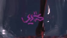 V?S - R?dvin