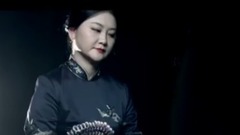 民樂群星 - 新鴛鴦蝴蝶夢