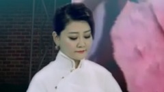 民樂群星 - 花好月圓