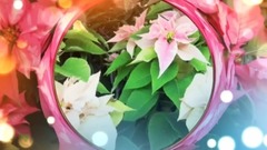 _The First Noel_ - Ernesto Cortazar