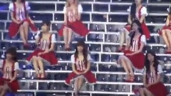 少女日記(VCR)&Honey&Dear Mom