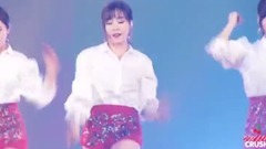 少女時代 帕尼超帥氣的dance break現場飯拍版