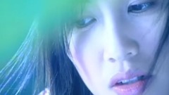 鴿子