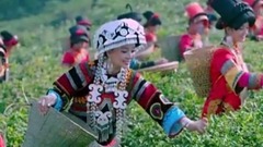 有緣請常來