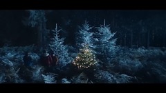 綁架一棵樹