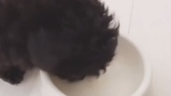 金泰妍的Zero更新第三則