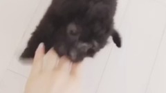 金泰妍的Zero第四則更新