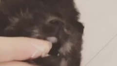 金泰妍的Zero更新第五則